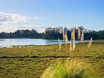 A beautiful landscape for waterside life