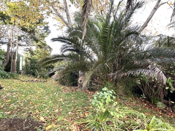 FREEHOLD SECTION WITH ESTABLISHED TREES