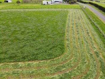 Outstanding Rural Section