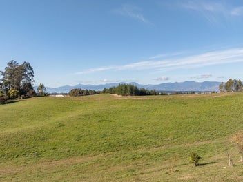 Make Dominion Road Your Domain