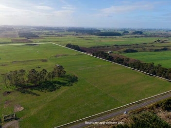 Image 1 of 20