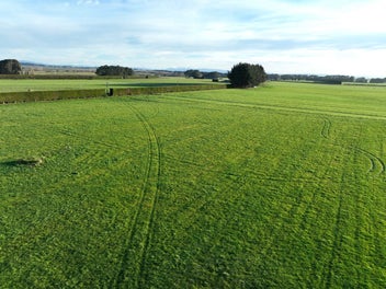 Bare Land Opportunity in Excellent Location