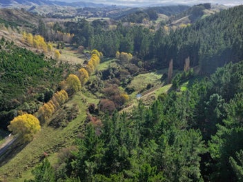 "Cowal" - Larger Lifestyle Living