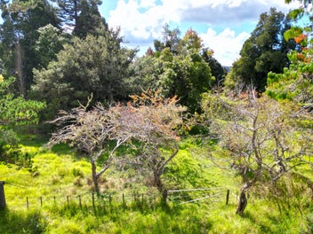 Idyllic Rural Retreat on the WAIMA RIVER side