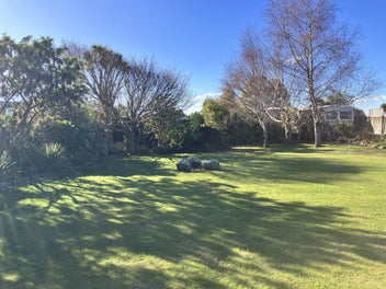 Seaside Serenity: Discover Your Future in Kaikoura