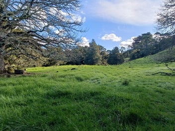 Prime Grazing Land with Plenty of Potential