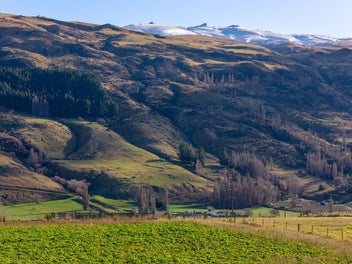 Sunny Section - Your Dream Home Awaits!