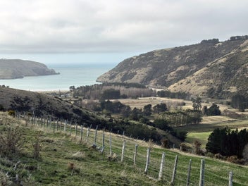 Image 1 of 25
