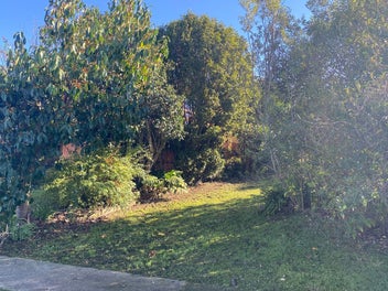 Image 1 of 10