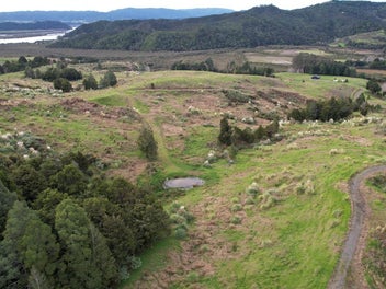60ha Horeke Grazing, Hunting & Forestry Farm