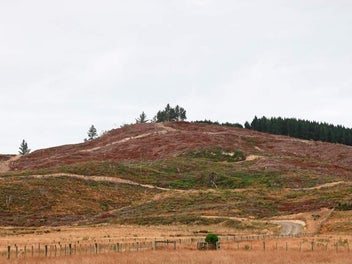 Lifestyle Opportunity in Palmerston, North Otago
