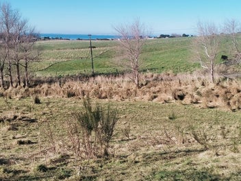 Fenced bare land, private sale