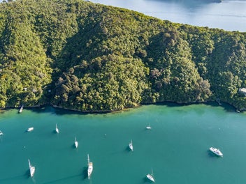 Waikawa Marina Waterfront Section