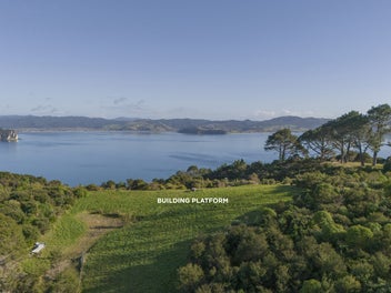 Lees Road - Hahei Gem