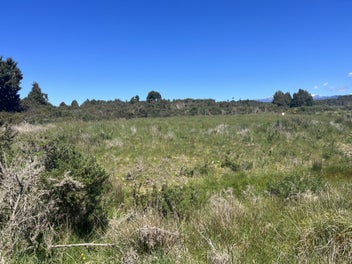 Image 1 of 8