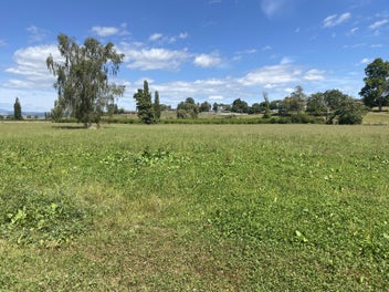 Huge price reduction and slashed covenants