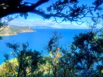 Central 4ha block with endless views