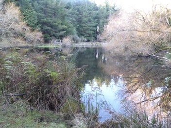 Image 1 of 19