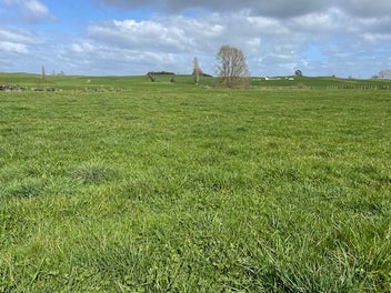 Image 1 of 16