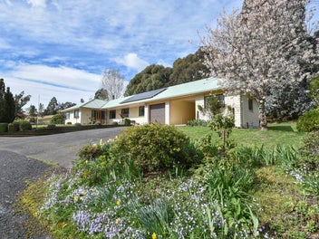 Image 1 of 20