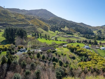 Image 1 of 36