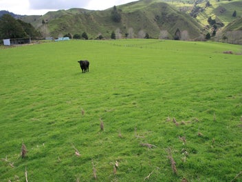 ESCAPE TO YOUR PRIVATE LIFESTYLE FARM