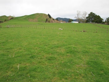 Image 1 of 48