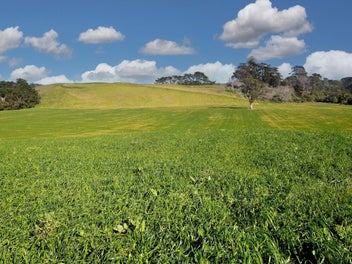 Image 1 of 15