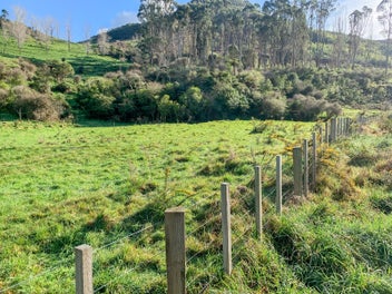 Image 1 of 9