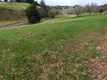 Image 1 of 11