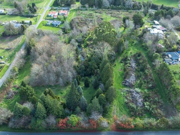 Image 1 of 12