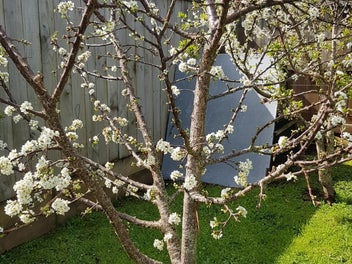 Stunning Private Section