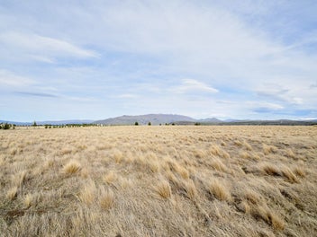 Image 1 of 9