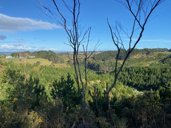 Image 1 of 10