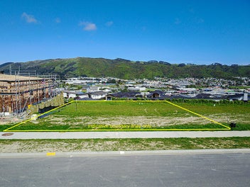Premium Sunny Section in Aotea