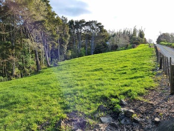 bare section close to town