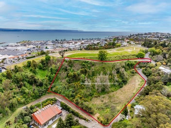 Napier Hillside Gem – Panoramic Views -...