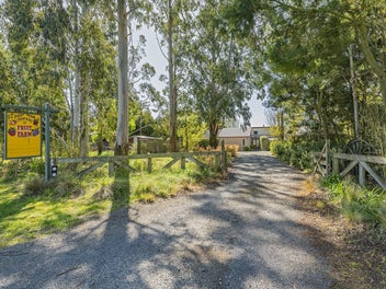 Image 1 of 33