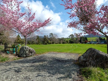 Image 1 of 14