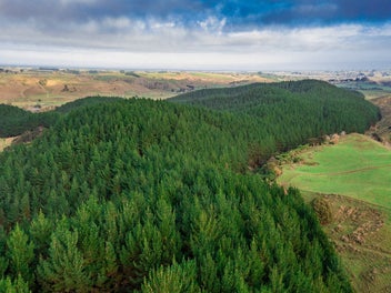 Okoia 1 & 2 Forests