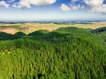 Glencroft Forests 1, 2 and 3