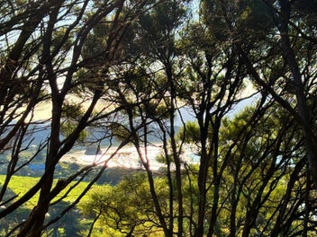 Exceptional Value! Medlands Site with Beach Views