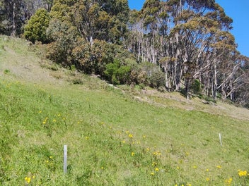 36 Davies Drive, Walters Bluff, Atawhai
