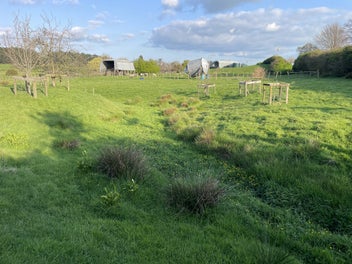 Te Awamutu (South) 3.76 acre Lifestyle