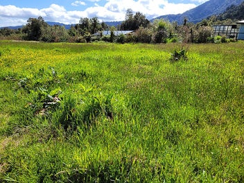 Build a Dream - Franz Josef