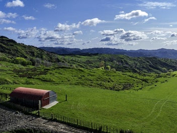 Image 1 of 37