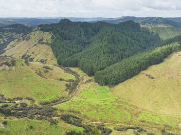 Image 1 of 21