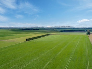 Image 1 of 11