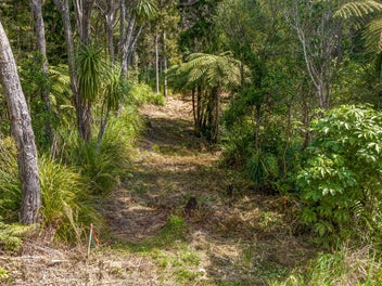 Piha's Wildest Secret!