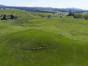 Acres of Rolling Lawns